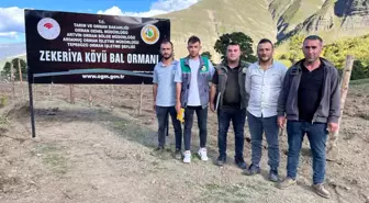 Artvin'in Zekeriya Köyünde Değerli Bal Üretimi Artıyor