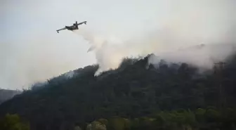 Foça'daki Orman Yangını Kontrol Altına Alındı