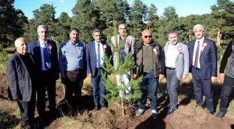 Kars'ta Sarıkamış ve Çanakkale şehitleri anısına hatıra ormanı oluşturuldu