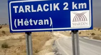 Mardin'de Arazi Anlaşmazlığı Silahlı Kavgaya Dönüştü: 3 Yaralı