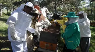 Düzce Üniversitesi'nde Bal Arısı Zehri Üretim Kursu Düzenlendi