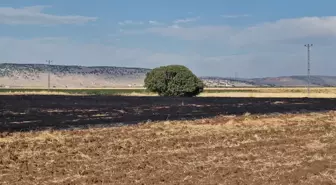 Diyarbakır'da Anız Yangını: 70 Dönüm Arazi Zarar Gördü