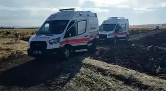 Diyarbakır'da Anız Yangını Söndürüldü, Bir Kişi Dumandan Etkilendi