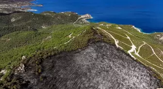 Foça'da Yangın Kontrol Altına Alındı: 340 Hektar Arazi Zarar Gördü