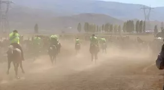 Karlıova'da Geleneksel At Yarışları Coşkuyla Düzenlendi