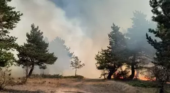 Sivas'ta Ormanlık Alanda Yangın Çıktı