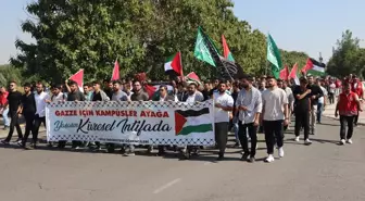 Diyarbakır ve Siirt'te Filistin'e Destek Yürüyüşleri Düzenlendi