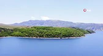 Nemrut'un maskotu bozayılar ve ekosistem tehlike altında