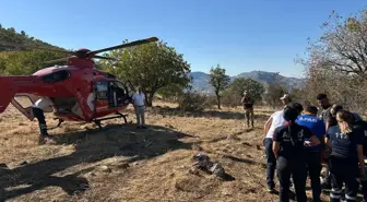 Ağaçtan Düşen Kişi Hava Ambulansıyla Hastaneye Sevk Edildi