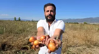 Cihan Aydın, Üretim Fazlası Soğanları Halka Ücretsiz Dağıttı