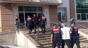 Amasya'da Jandarma Operasyonu: 30 Soruşturma Altındaki Şahıs Yakalandı