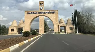 Harran Üniversitesi'ni karıştıran fuhuş iddiası