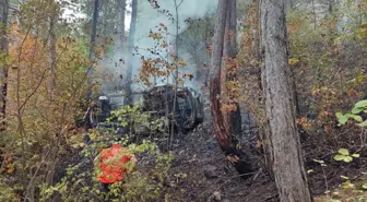 Bolu'da Uçuruma Yuvarlanan Otomobilde İki Kişi Hayatını Kaybetti