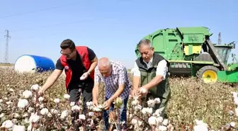 Viranşehir Kaymakamı Ülkü, Pamuk Hasat Sezonunu Başlattı