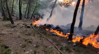 Hatay Yayladağı'nda Orman Yangını Kontrol Altına Alındı