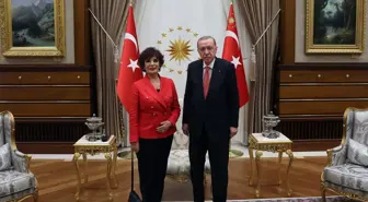 Cumhurbaşkanı Erdoğan, Hülya Koçyiğit'i kabul etti