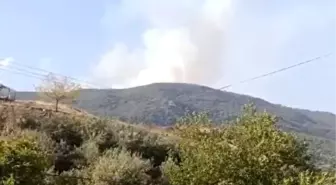 Gaziantep İslahiye'de Orman Yangını Kontrol Altına Alındı