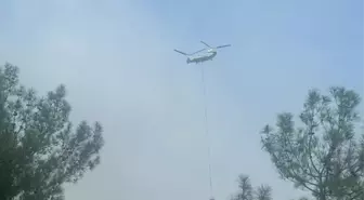 Gaziantep İslahiye'de Orman Yangını Kontrol Altına Alındı