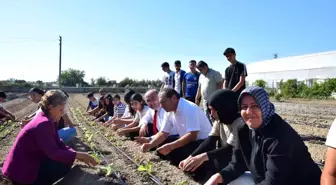 Aksu Tarım Lisesi Öğrencileri Sezonun İlk Fidelerini Ekti