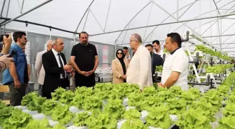 Amasya Üniversitesi'nde Akıllı Seralar Projesi Başladı