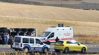 Haymana'da Kuzu Yüklü Tır Devrildi, Çok Sayıda Hayvan Telef Oldu