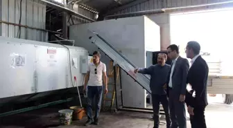 Gölpazarı Kaymakamı ve Tarım Müdürü Ceviz Tesisini Ziyaret Etti