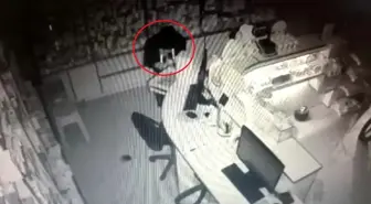 Antalya'da Eczaneye Hırsızlık: Güvenlik Kamerası Anbean Kaydetti