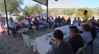 Foça'da Zeytin Hasat ve Sıkım Sezonu Başladı