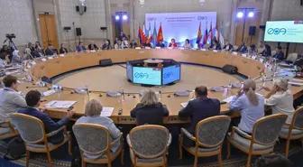 Dijitalleşme ve İnsan Hakları Üzerine Önemli Vurgular
