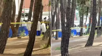 Karısını öldürüp intihar etti! Olay ne zaman, nerede oldu? Bakırköy Ruh ve Sinir Hastalıkları Hastanesi'nde ne oldu?