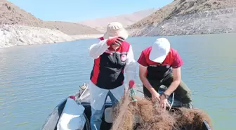 Bahçecik Barajı'nda 550 Metre Hayalet Ağ ve 800 Balık Tuzağı İmha Edildi