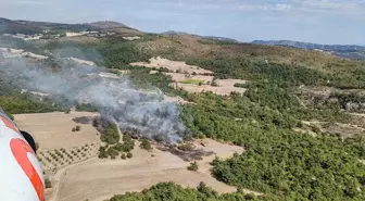 Manisa'da Tarım Arazisinde Başlayan Yangın Ormanlık Alana Sıçradı
