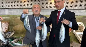 AK Parti Milletvekili Abdürrahim Dusak, Türkiye Deniz Canlıları Müzesi'ni Ziyaret Etti