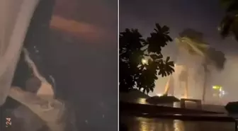 Milton kasırgasının vurduğu Florida'da timsahlar evlere girdi