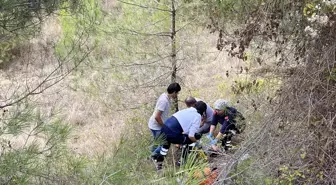 Taraklı'da Motosiklet Şarampole Devrildi: Sürücü Hastaneye Kaldırıldı