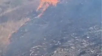 Siirt'te Çıkan Örtü Yangını 2 Saatte Söndürüldü