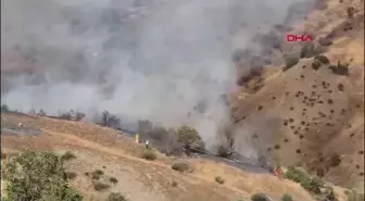 Siirt'te Çıkan Örtü Yangını 2 Saatte Kontrol Altına Alındı