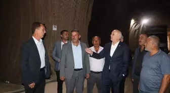 TZOB Başkanı Bayraktar: Patates Ürününe Devlet Müdahalesi Şart