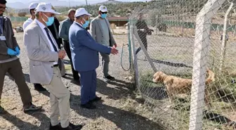 Talas Pati Evi için İşbirliği Artırılıyor