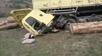 Giresun'da Tomruk Yüklü Kamyon Devrildi