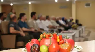 TOGÜ'de 'Domates' konulu söyleşi düzenlendi