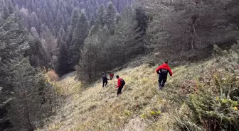 Bolu'da Yaylada Kaybolan Yaşlı Çift Ölü Bulundu