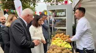 Subaşı'nda 11. Kivi Festivali Coşkuyla Kutlandı