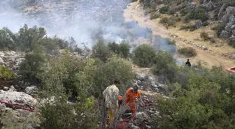 Gaziantep'te ormanlık alanda çıkan yangın kontrol altına alındı