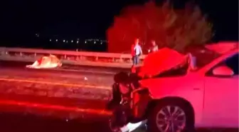 Elazığ'da otomobilin ineğe çarpması sonucu kaza: 2 yaralı, 1 inek telef