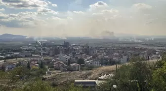 'Anız yakılması ciddi bir sağlık tehdidi haline geldi'