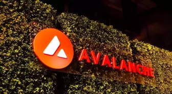 Avalanche Vakfı AVAX tokenları için son kararını verdi