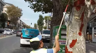 İETT Otobüsü Çınar Ağacına Çarptı, Bahçelievler Belediyesi Müdahale Etti