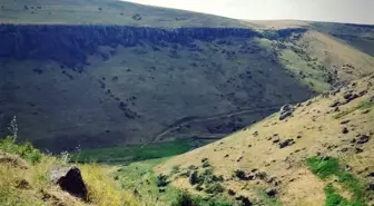 Ağrı'da Düzmeydan Vadisi Sonbaharda Hayvanlara Açıldı