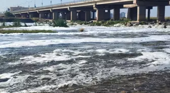 Dicle Nehri'nde Kirlilik İncelemesi Başlatıldı